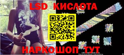 дурь Сланцы