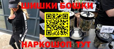 дурь Сланцы