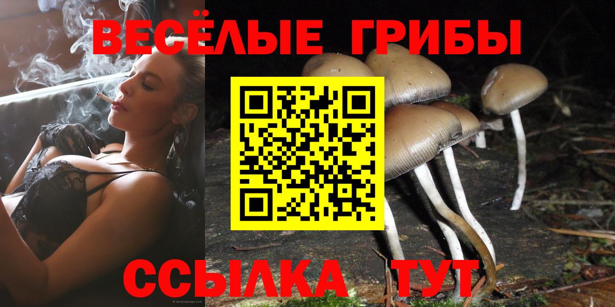 Псилоцибиновые грибы Psilocybine cubensis Полевской